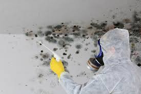 Best Mold Prevention Services  in Greendale, WI